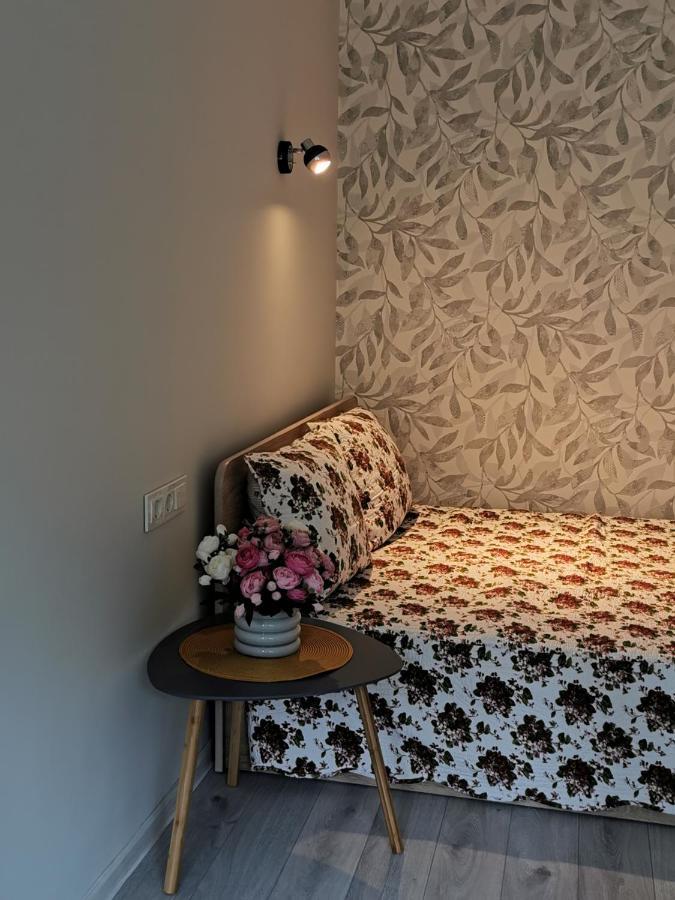 Upes Apartamentai Biržai Extérieur photo