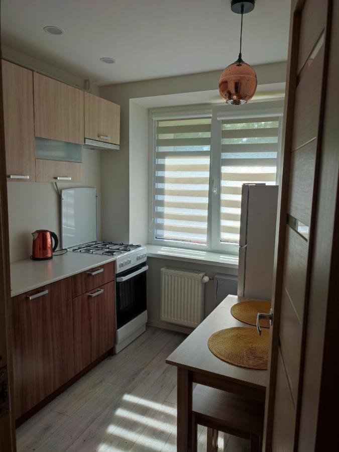 Upes Apartamentai Biržai Extérieur photo