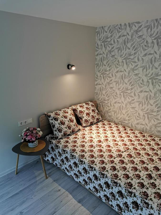 Upes Apartamentai Biržai Extérieur photo