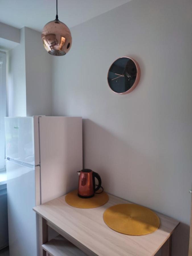 Upes Apartamentai Biržai Extérieur photo
