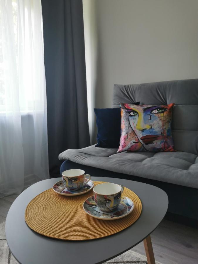 Upes Apartamentai Biržai Extérieur photo