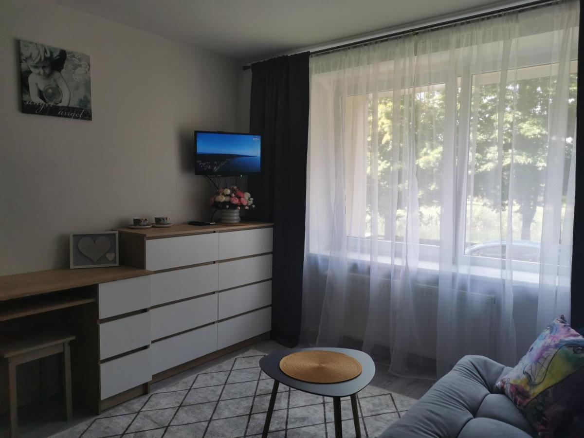 Upes Apartamentai Biržai Extérieur photo