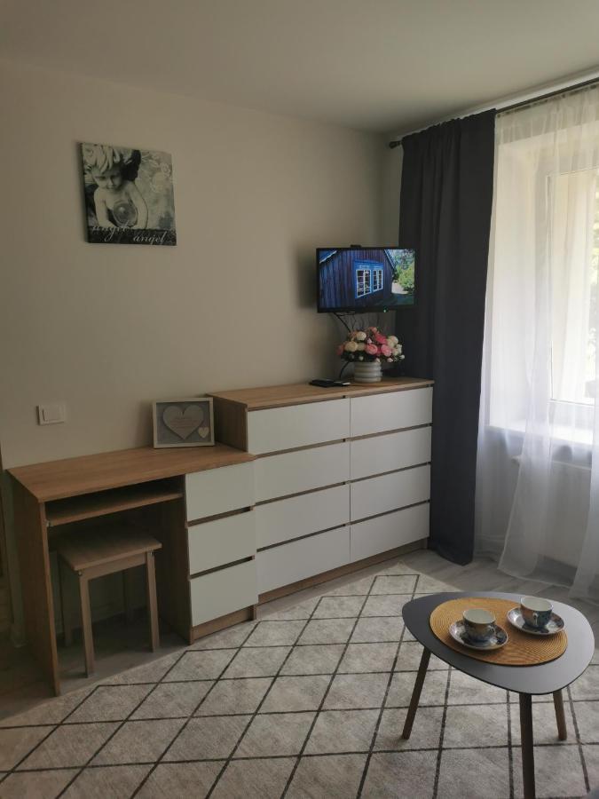 Upes Apartamentai Biržai Extérieur photo